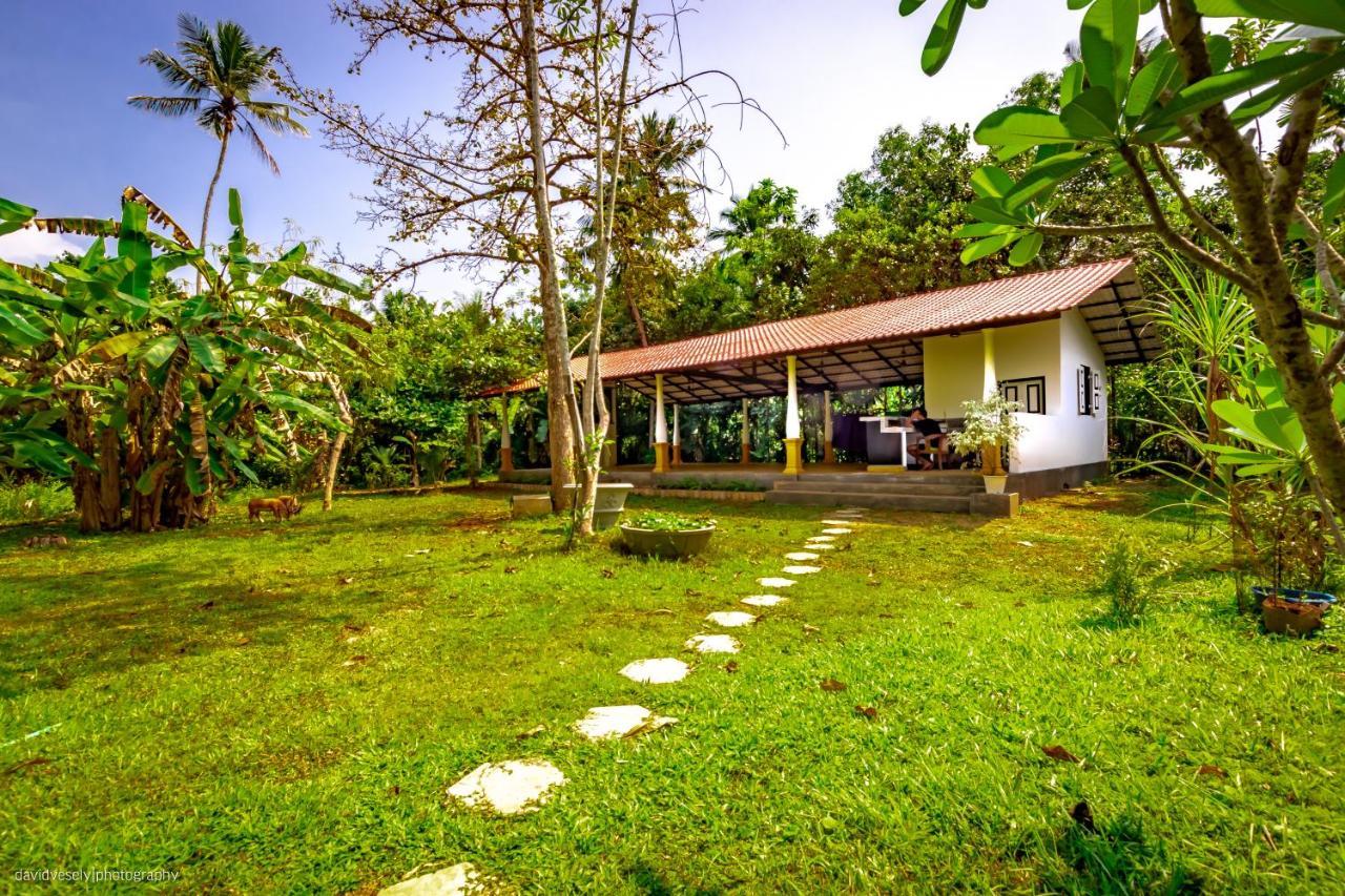 Coconut Villa Midigama East Exterior foto